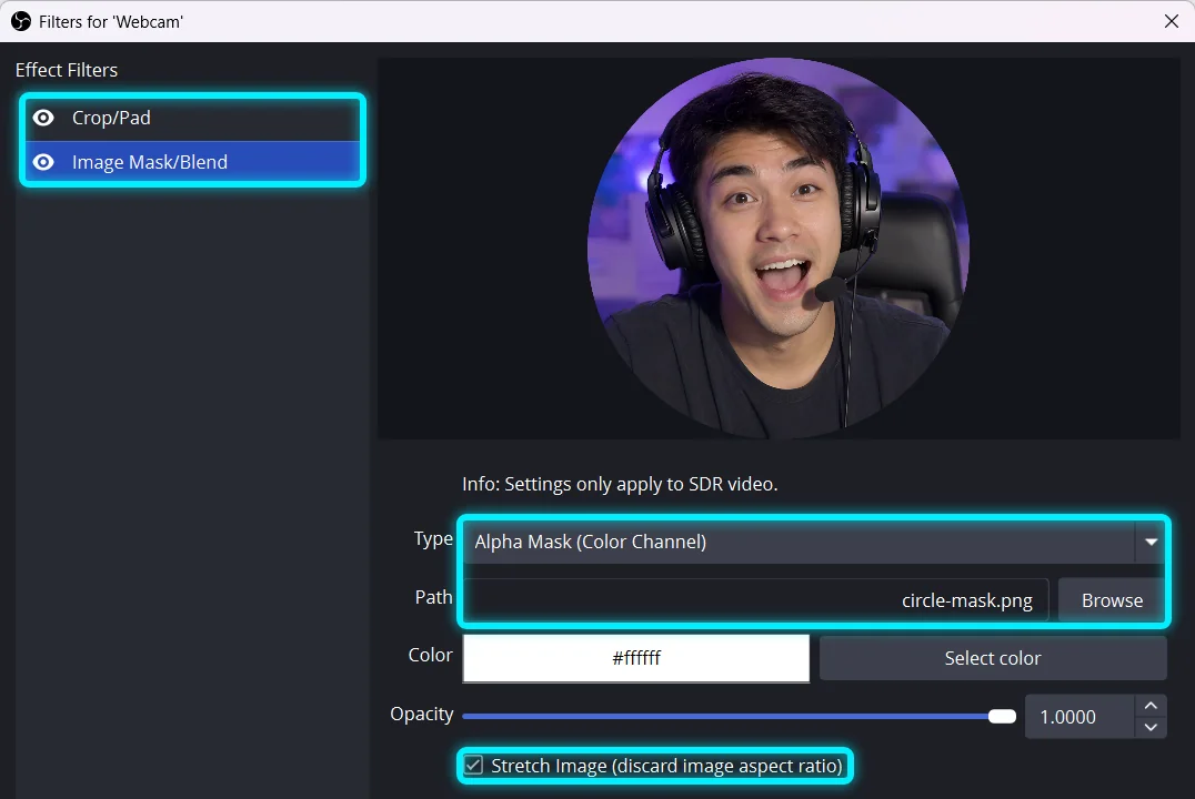 The Filters window for the webcam with Crop/Pad and Image Mask/Blend, set to Alpha Mask (Color Channel) with circle-mask.png and Stretch Image ticked