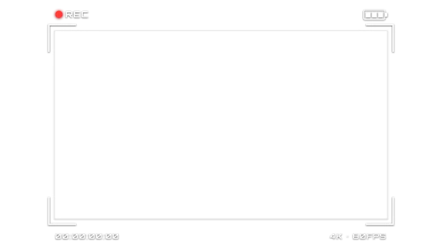 Camera Viewfinder webcam frame, transparent PNG